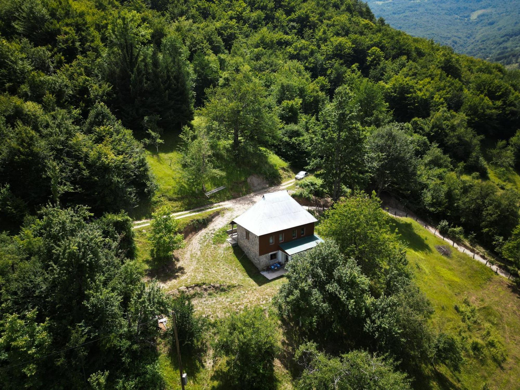 Ethno Guesthouse Tara Mojkovac Eksteriør bilde